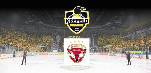 https://yayla-arena.de/event/krefeld-pinguine-vs-lausitzer-fuechse-2/
