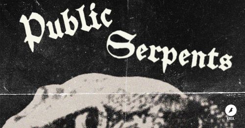 https://kreativfabrik-wiesbaden.de/veranstaltung/public-serpents-lyink/