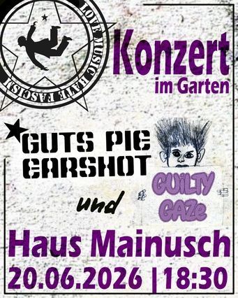 Konzert im Garten
