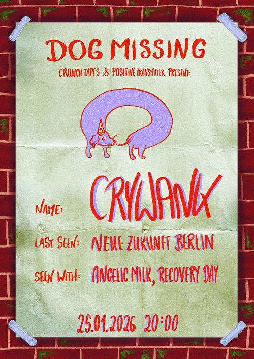 Crywank / angelic milk / Recovery Day live at Neue Zukunft, Berlin