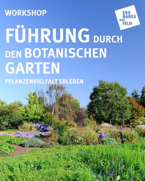 https://werkhaus-krefeld.de/fuehrung-botanischer-garten-2026/