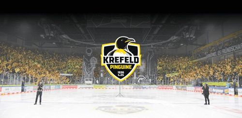 https://yayla-arena.de/event/krefeld-pinguine-vs-n-n/