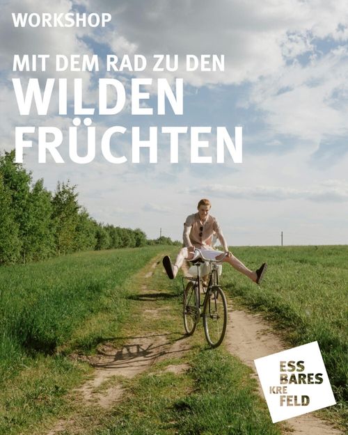 https://werkhaus-krefeld.de/mit-dem-rad-zu-den-wilden-fruechten-schaetzen-2026/