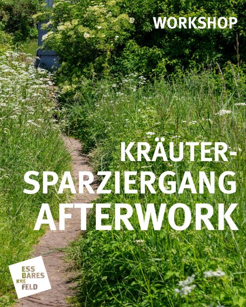 https://werkhaus-krefeld.de/afterwork-spaziergang-2026/