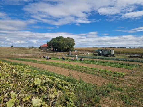 Infoveranstaltung zur Beitragsrunde für die kommende Gemüsesaison der Solidarischen Landwirtschaft Guter Grund e.V.